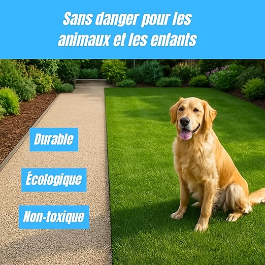PERMALEX - Agrefix - Liant à base d'eau pour gravier - 5L